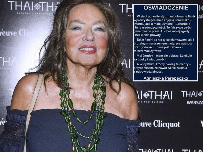 Agnieszka Perepeczko ofiarą obrzydliwego ataku! "To przemoc cyfrowa!"