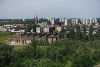 Gęstość zaludnienia w Polsce. W tych miejscowościach żyje się jak w ulu