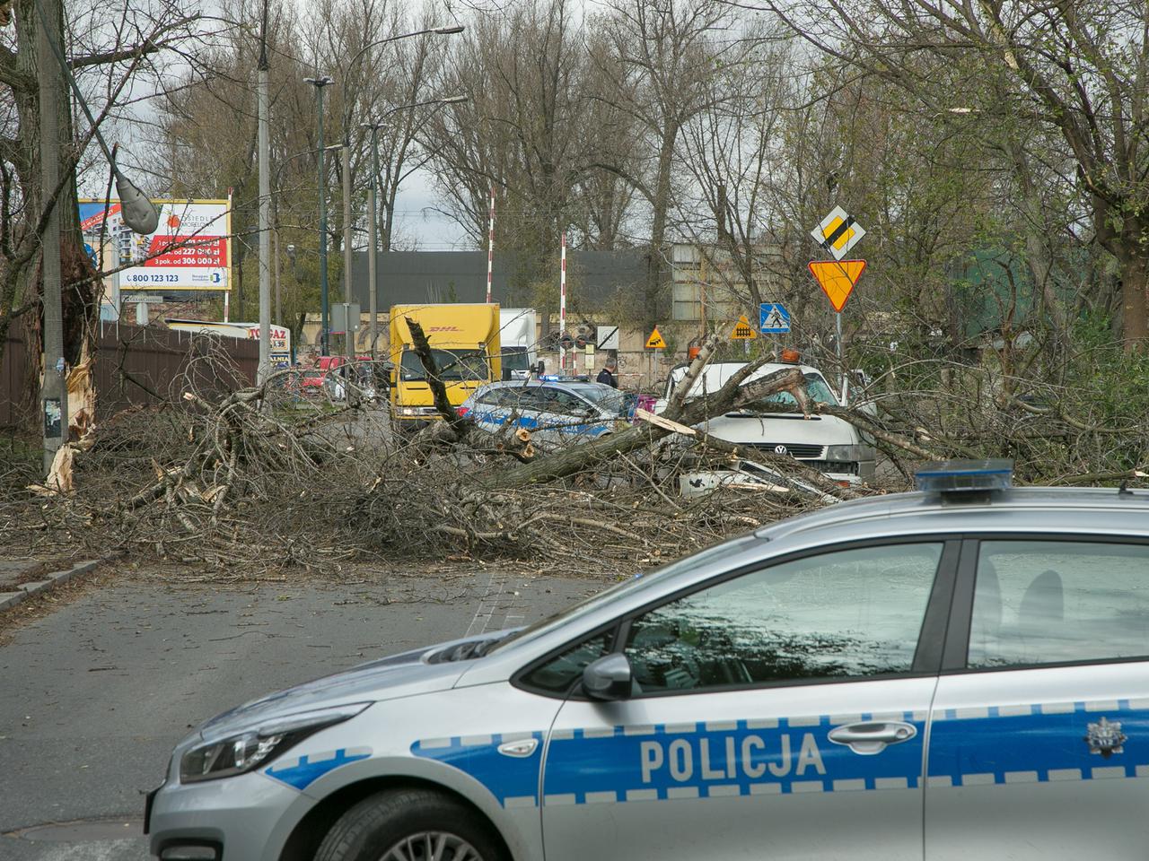 Grzegorz siał grozę w stolicy
