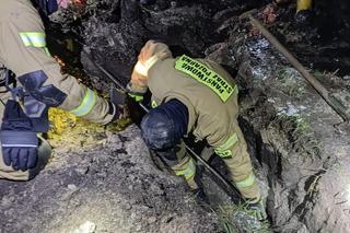 Szczeniaczki uratowane przez stowarzyszenie Zwierzoluby z Siedlec i strażaków