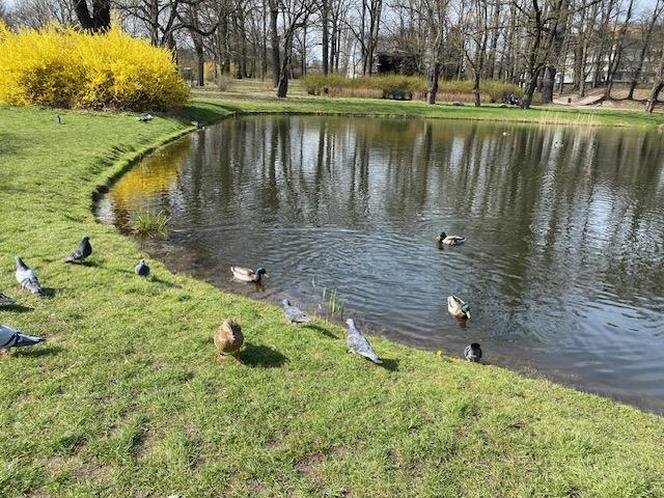 Park Helenów