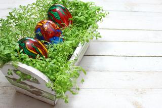 Rzeżucha wielkanocna