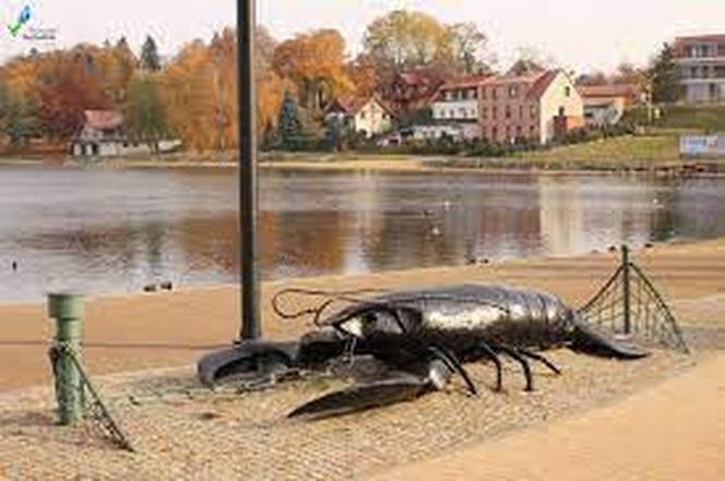 Ińsko 