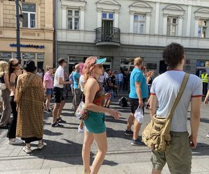 Parada Wolności 2025 niedziela