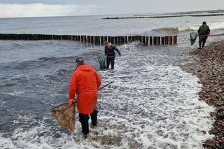 Tłumy na plaży w Kołobrzegu
