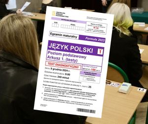 Matura próbna z polskiego 2025: Odpowiedzi PDF + arkusze CKE. RELACJA NA ŻYWO