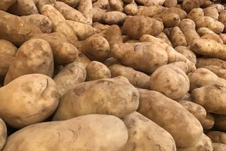 Papierosy ukryte za ziemniakami - w Warszawie udaremniono przemyt warty miliony!