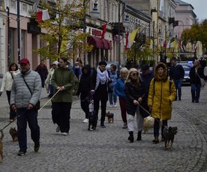 Wielki marsz adopciaków w Radomiu