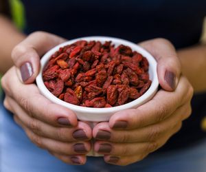 Jagody goji – właściwości, wartości odżywcze i przeciwwskazania. Jak jeść owoce goji?