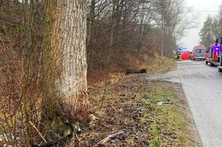 Borucino. Dwie osoby zginęły w śmiertelnym wypadku pod Kartuzami [ZDJĘCIA]