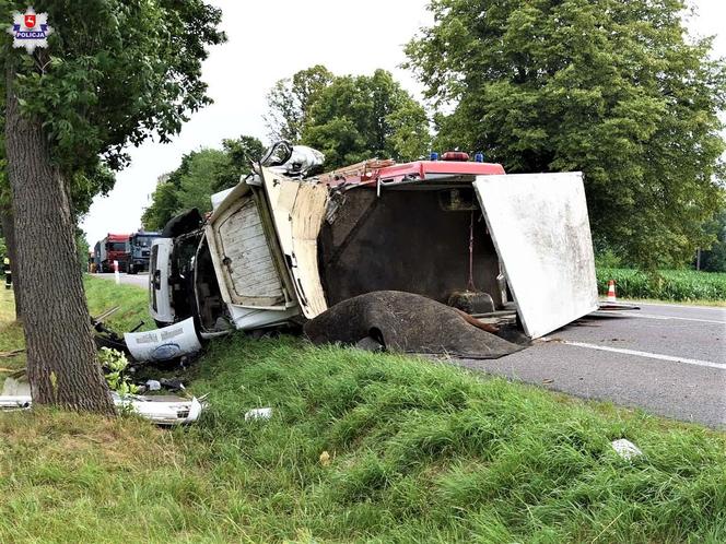 Tragiczny wypadek na DK-17 w woj. lubelskim. Zmarł pasażer i padł koń