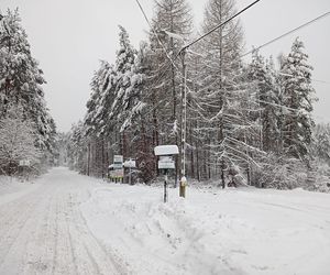 Nieoczywiste miejsca na zimową wyprawę w Świętokrzyskiem. Zobacz TOP 10 atrakcji, poznaj nowe szlaki, wzgórza i rezerwaty!