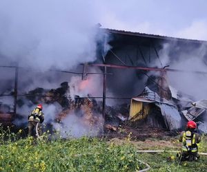 Pożar w Andrzejkach. Strażacy walczyli o uratowanie zwierząt i domu