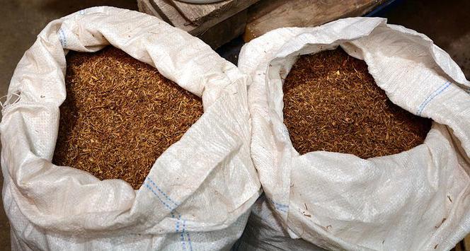 Straż graniczna zabezpieczyła ponad 700 tys. sztuk papierosów i 56 kg krajanki. Ich wartość to ponad pół miliona złotych [ZDJĘCIA]