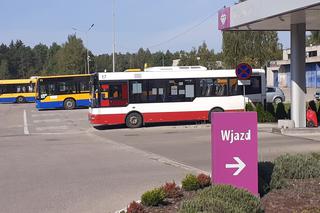 22 września w Starachowicach za darmo pojedziemy autobusem! Jest tylko jeden warunek
