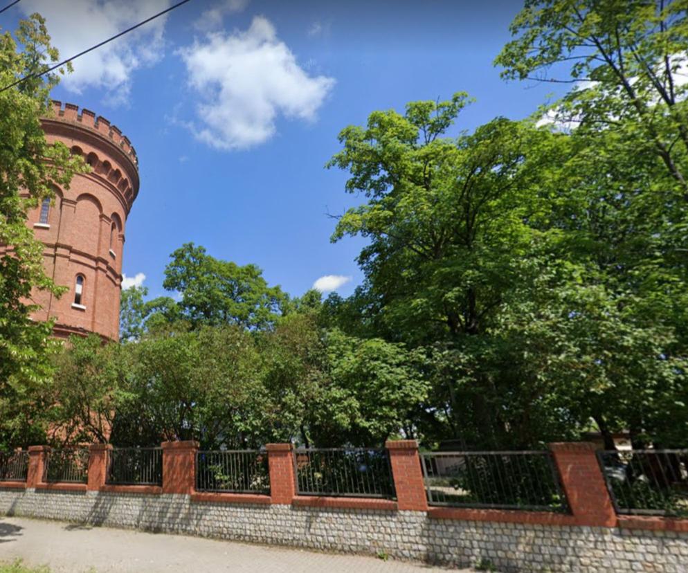 Ogród Kopernika pod Obserwatorium Astronomicznym. Będzie nową atrakcją w Olsztynie