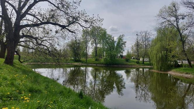 Zamość