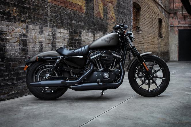 Harley-Davidson Sportster Iron 883