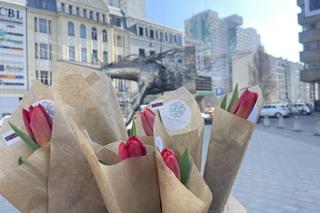 Eska rozdaje tulipany!