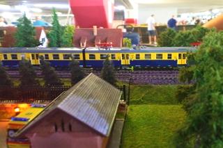 Modelarze z całej Polski stworzyli gigantyczną makietę! Miniaturowy świat kolei przyciąga tłumy
