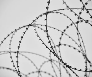 Czy Polska granica jest bezpieczna? Zapytaliśmy o to lubelską ekspertkę