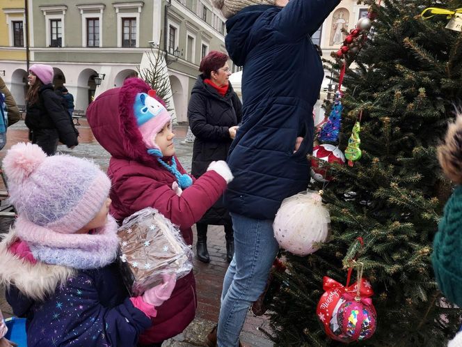  Zamojskie przedszkola i szkoły dekorowały choinki