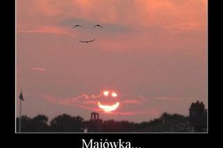 Majówka 2023 zbliża się wielkimi krokami! Zobacz najlepsze memy!