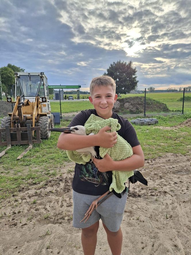Mieszkańcy gminy Kuślin uratowali bociana