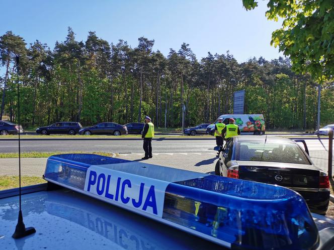 Kierowcy nie uważają na pieszych. W Grudziądzu posypały się mandaty