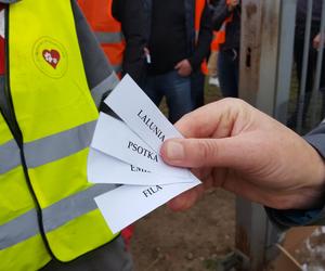​Szczeniak i kot znalazły nowy dom. To pierwsze efekty sobotniej akcji Bieg + 4 Łapy koło Leszna