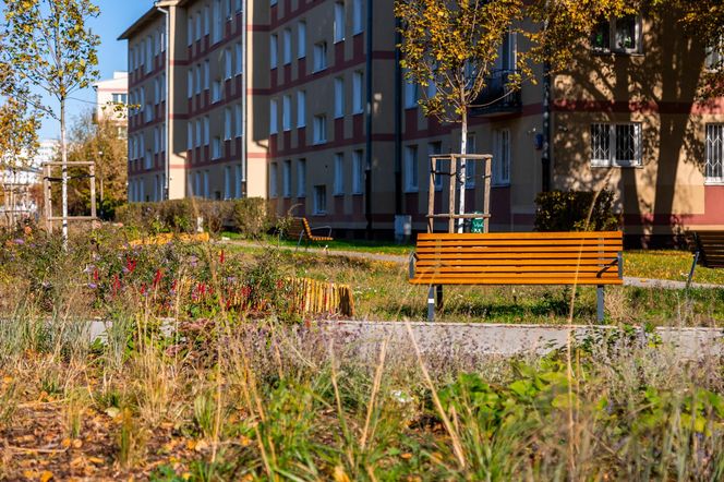 Park linearny na Bielanach w Warszawie