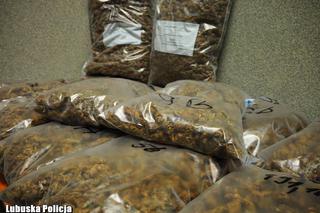 Krzeszyce: Dziesięć kilogramów marihuany nie trafi na rynek