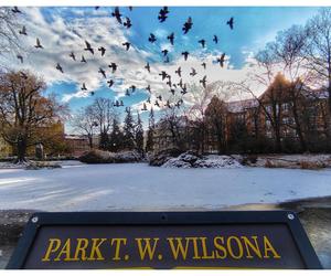 Nastała prawdziwa, zimowa aura w Poznaniu! Spójrzcie na zdjęcia z Parku Wilsona [ZDJĘCIA]