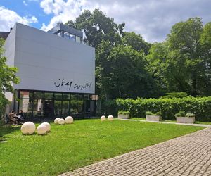 Ogród przy pałacu Czapskich w Krakowie