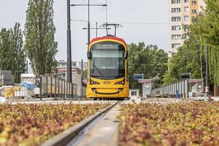 Nowa trasa tramwajowa w stolicy już działa. Jakie jeszcze są w planach?