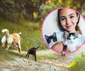 Chciała uratować kotki, gdy zaatakowały ją psy. 9-latka nie żyje