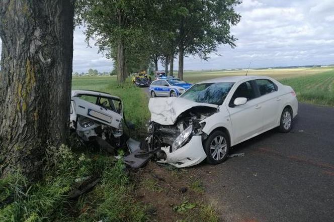 Wypadek w gminie Płośnica