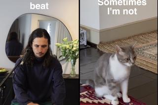 Lonely Cat