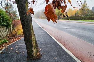 W Łodzi zabetonowano auto, w Jaworznie... drzewo na środku chodnika. Budowlańcy zaskakują fantazją