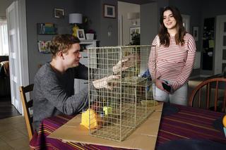 Barwy szczęścia odc. 2787. Hubert (Marek Molak), Agata (Natalia Zambrzycka)