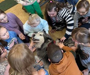 Dogoterapia i wolontariat. SP nr 10 w Starachowicach zdobywa tytuł Mistrzowskiej Placówki z Sercem