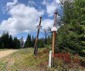 Długi czerwcowy weekend w górach TAK, ale dobrze zaplanowany i przemyślany. Przypomina GOPR