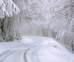 Pogoda na 5-11 grudnia w Bydgoszczy. Czy możemy spodziewać się ataku zimy?