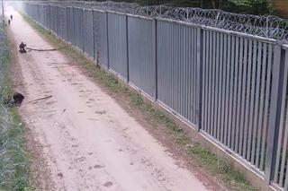 Polski żołnierzy ugodzony nożem. Brutalne starcia z migrantami na granicy polsko-białoruskiej [ZDJĘCIA].
