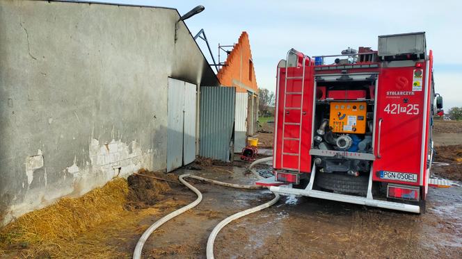 Pożar obory w Dalkach pod Gnieznem