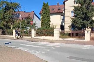 Rozszerzenie zarzutów dla producentów nielegalnej galarety