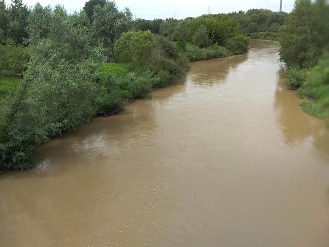 Sytuacja hydrologiczna w Tarnowie. Czy grozi nam powódź?