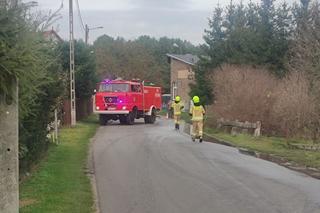 Lubuskie: Pijany wjechał w ogrodzenie domu w Ściechowie