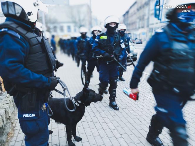 Zabrze: Cztery osoby zatrzymane po meczu Górnika z Legią