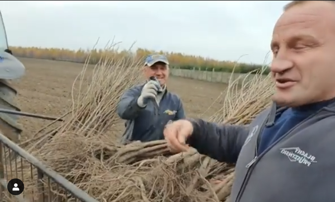 Odprawa Mariusza Pudzianowskiego